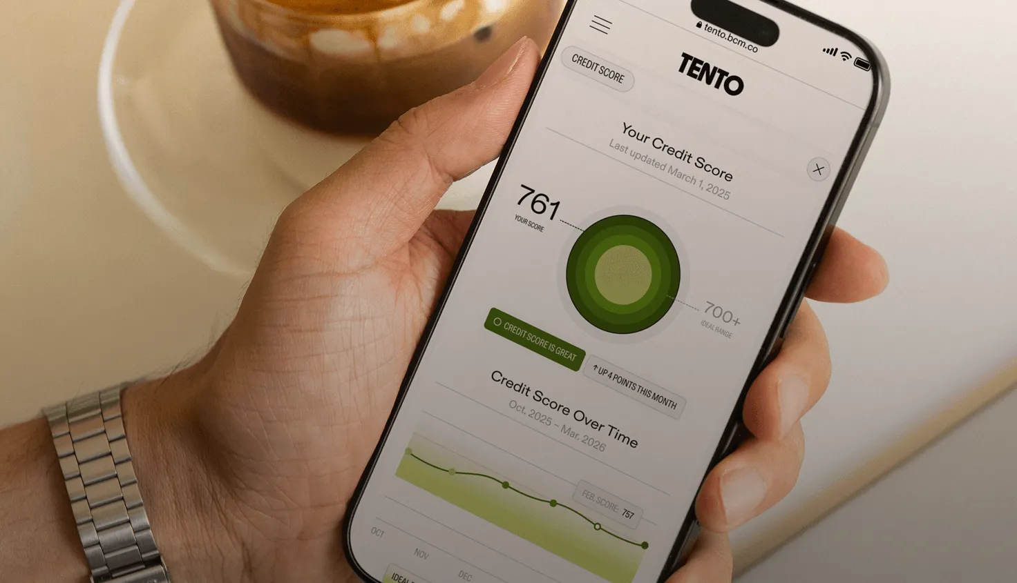 Business owner checking credit score on mobile device