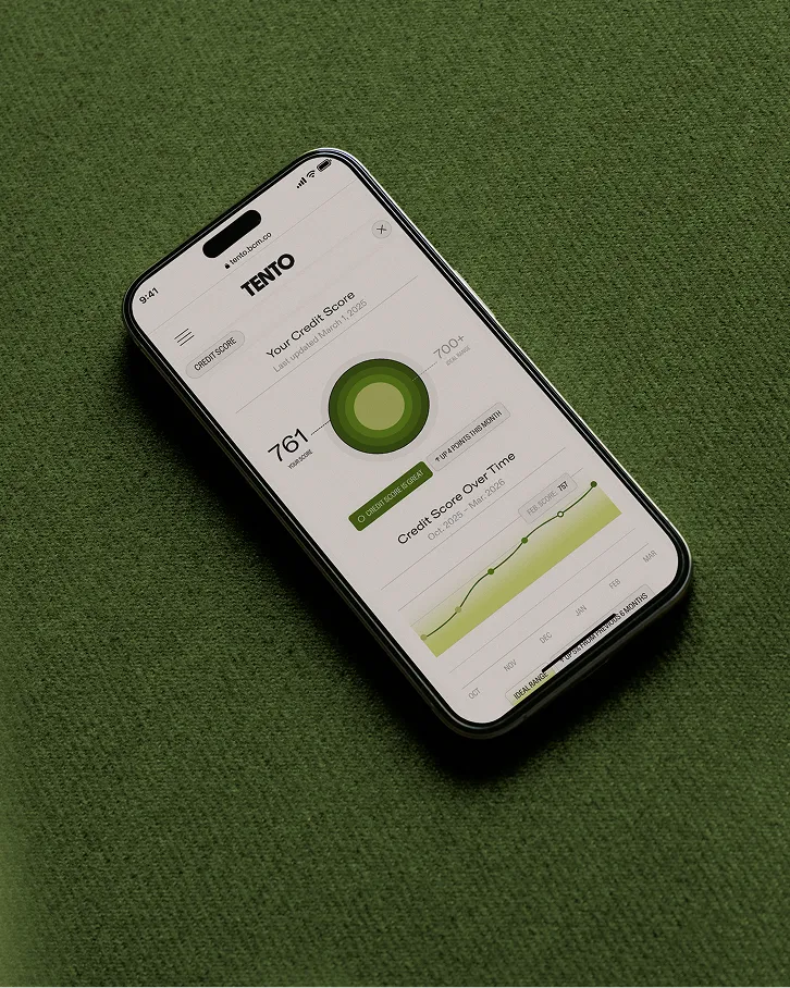 Business owner benefiting from embedded financial tools on their platform